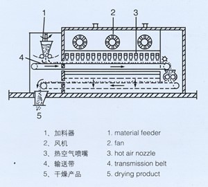 belt dryer